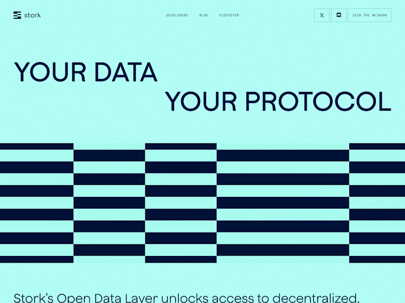 Cover image for Stork Network