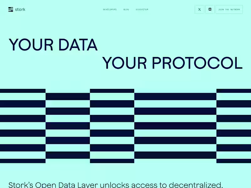 Cover image for Stork Network