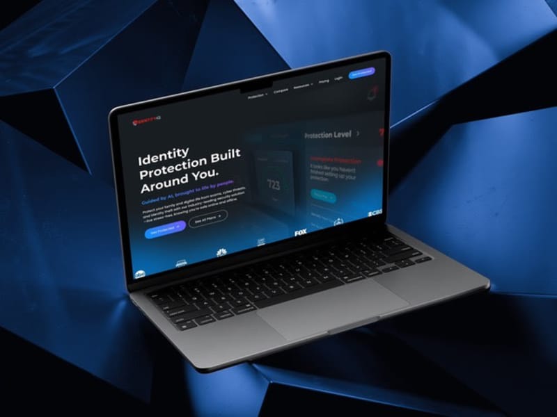 Cover image for IdentityIQ - Website