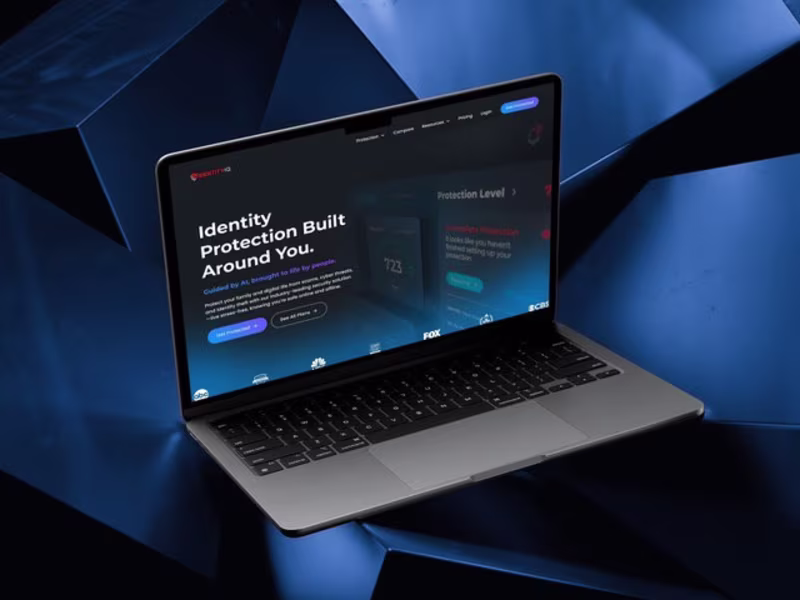Cover image for IdentityIQ - Website
