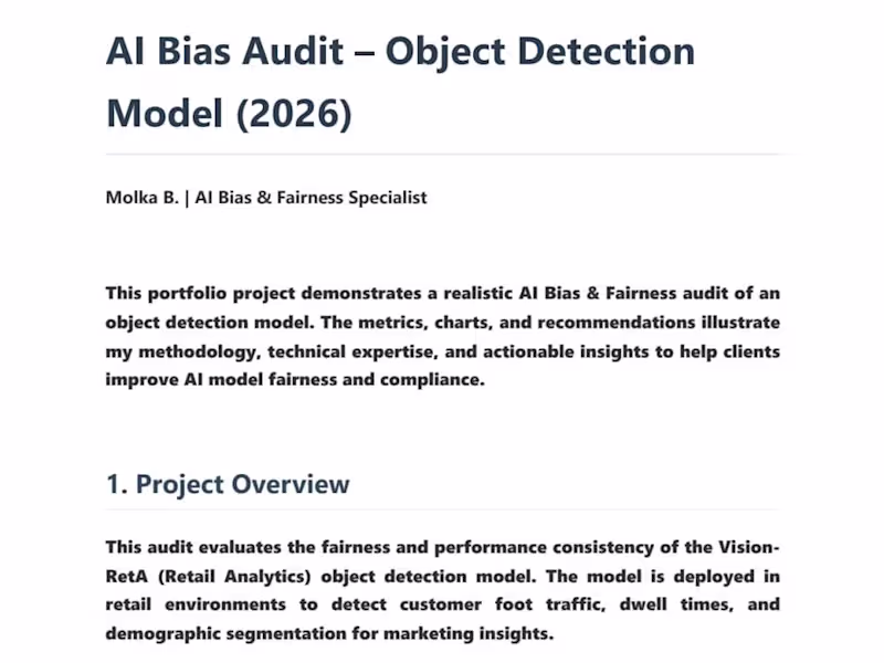 Cover image for AI Bias Audit - Object
