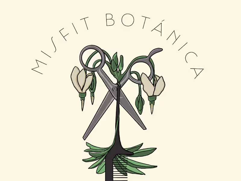 Cover image for Captivating and Refreshed Logos