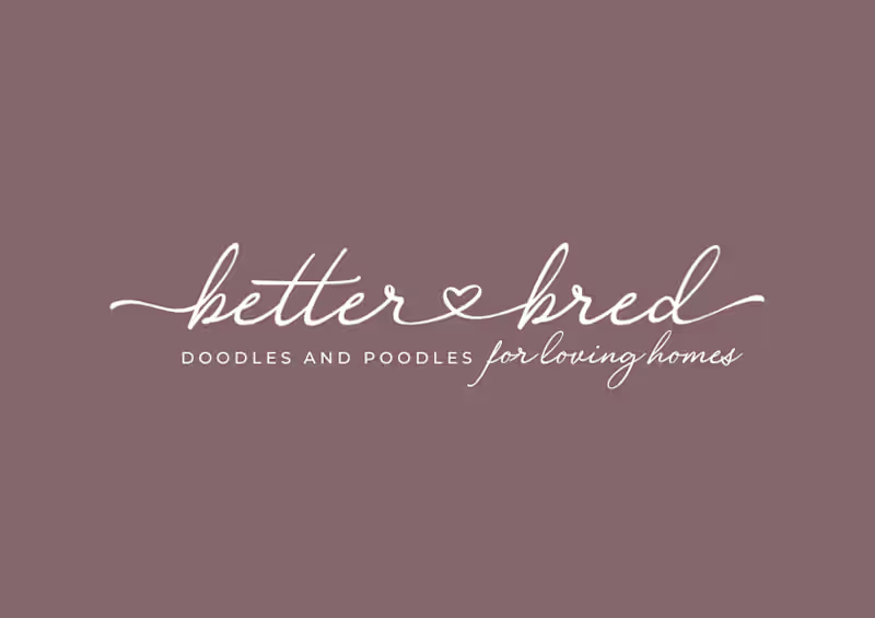 Cover image for Chic & Feminine Brand Design + Strategy for Dog Breeder 
