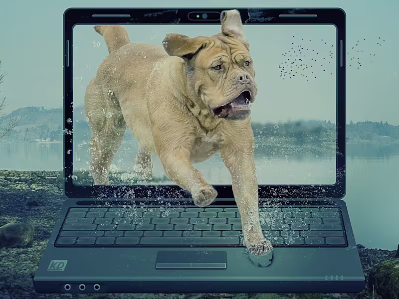 Cover image for Best Practices For Designing Effective Exit Intent Popups