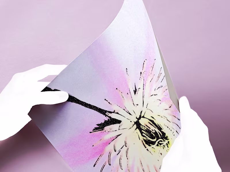 Cover image for Brand Identity Design 🫡