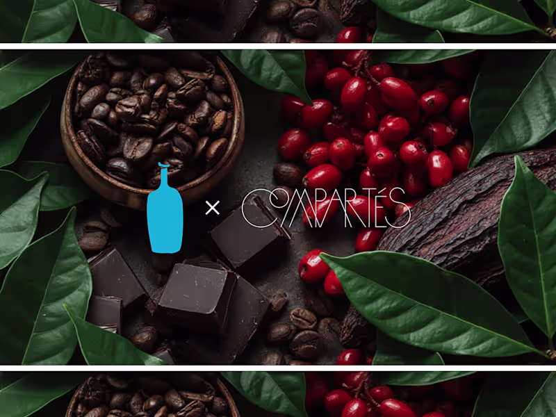 Cover image for Blue Bottle × Compartés Experiential Case Study Deck