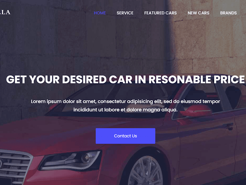 Cover image for Car Villa Website