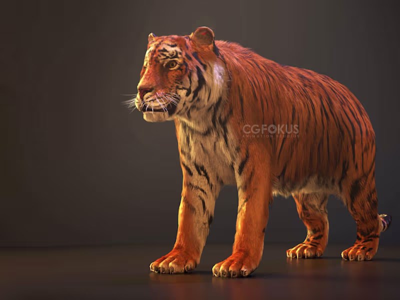 Cover image for 3D Artist Specializing in Character Animation and Concept Art