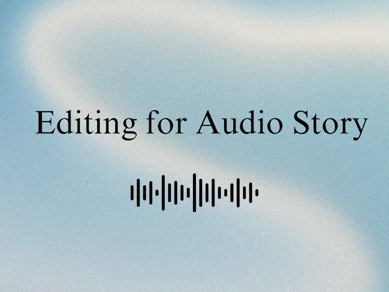 Cover image for Audio Story Script Editing