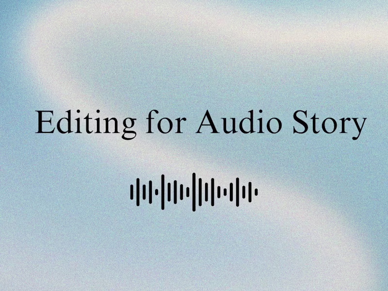 Cover image for Audio Story Script Editing