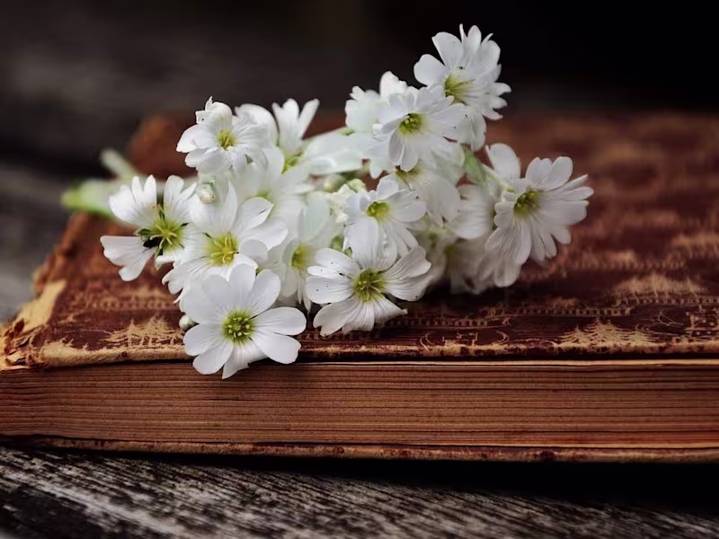 Cover image for 7 Secrets of Internet Marketing