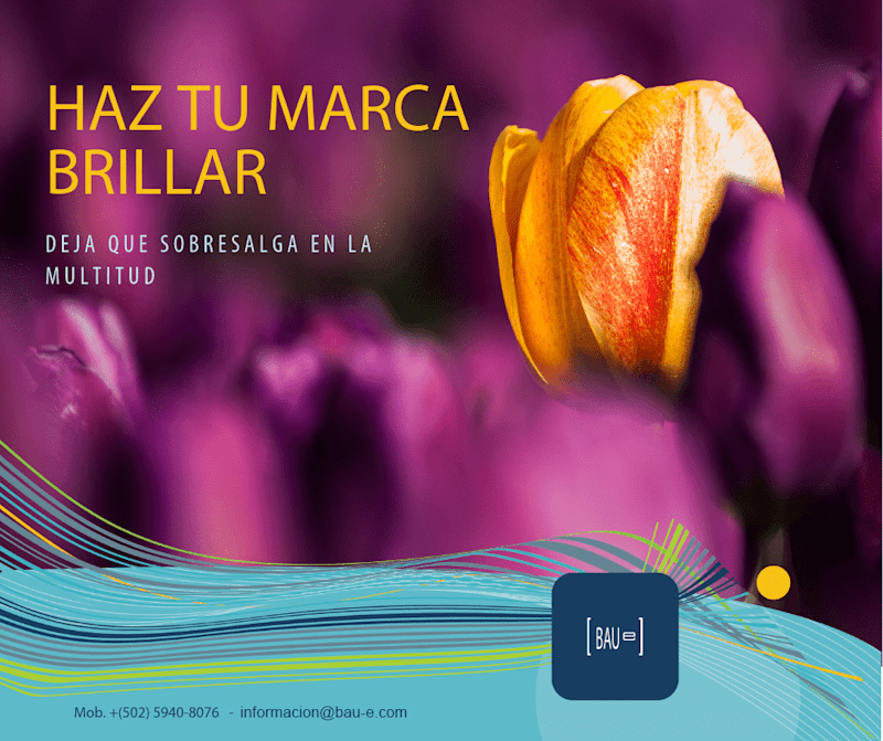 Cover image for BAUe