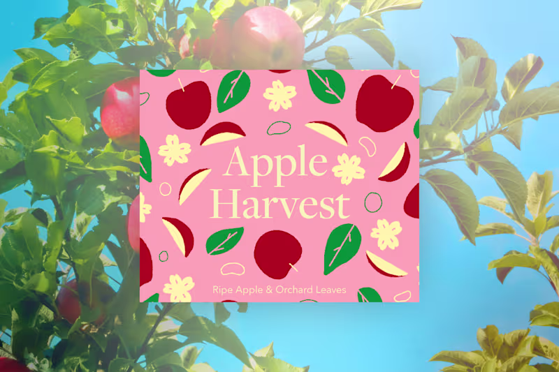 Cover image for Apple Harvest