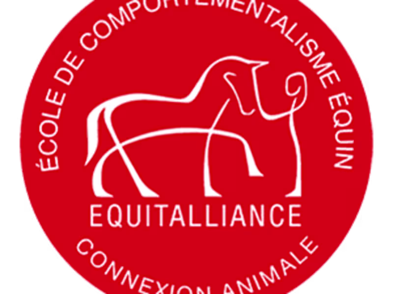 Cover image for Equitalliance Ecole Comportementalisme Equin | Cressanges