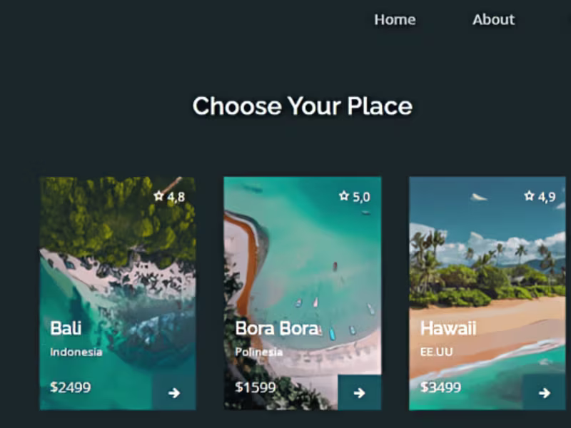 Cover image for Travel Site
