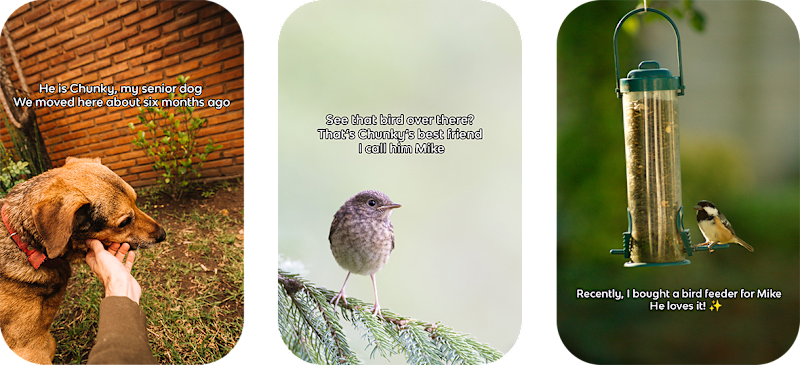 Cover image for Short Stories for Social Media (Image/Video)