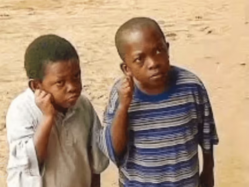 Cover image for The Story of Osita Iheme (PawPaw)