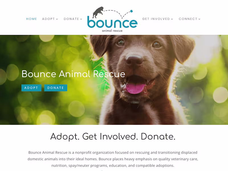Cover image for Website Design & Development - Non-Profit