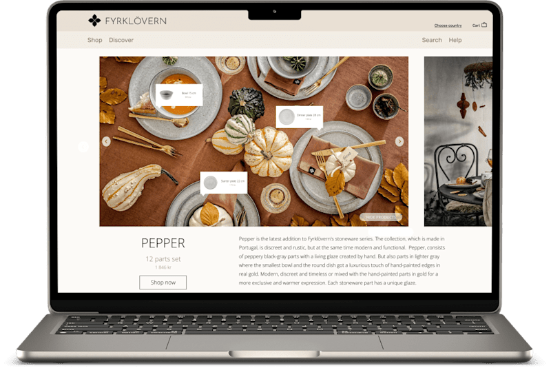 Cover image for Flagship e-commerce website