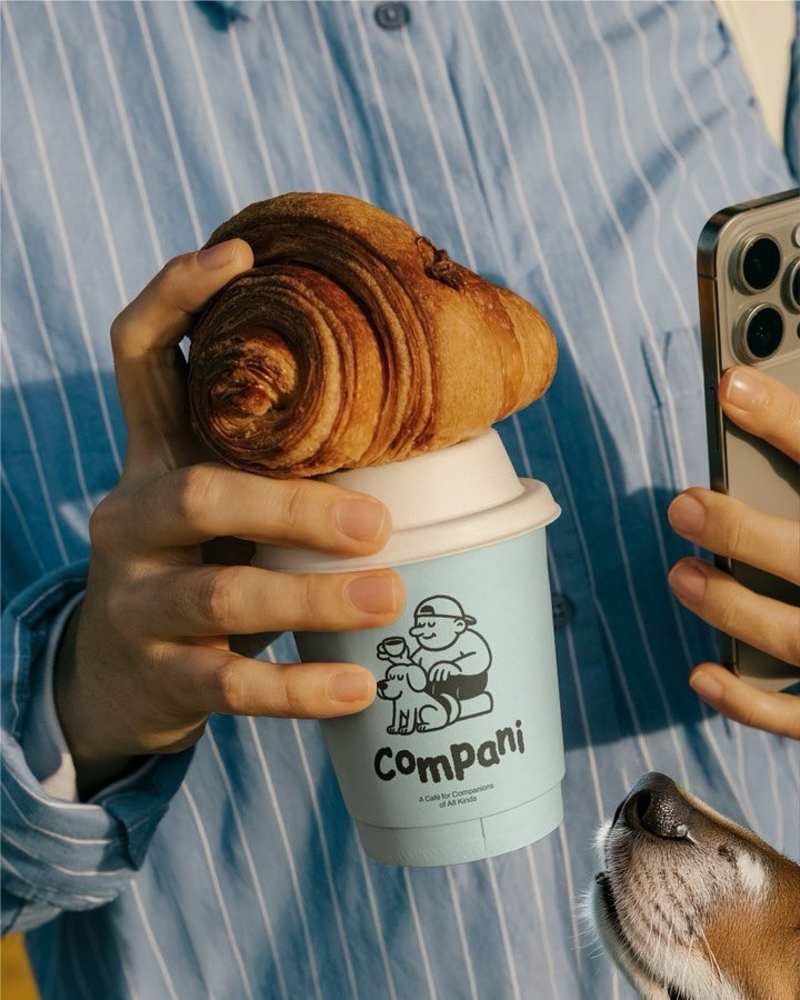 Cover image for Brand Design Creation - COMPANI