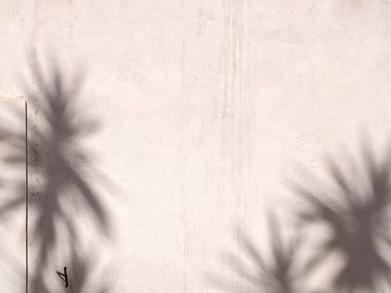 Cover image for SEO Content Writing