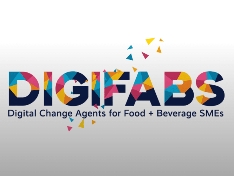 Cover image for DigiFABS 