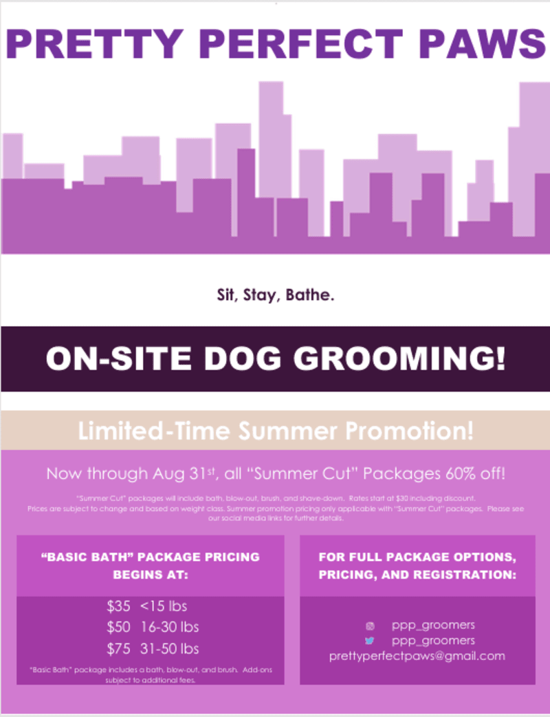 Cover image for Summer Grooming Promo Flyer