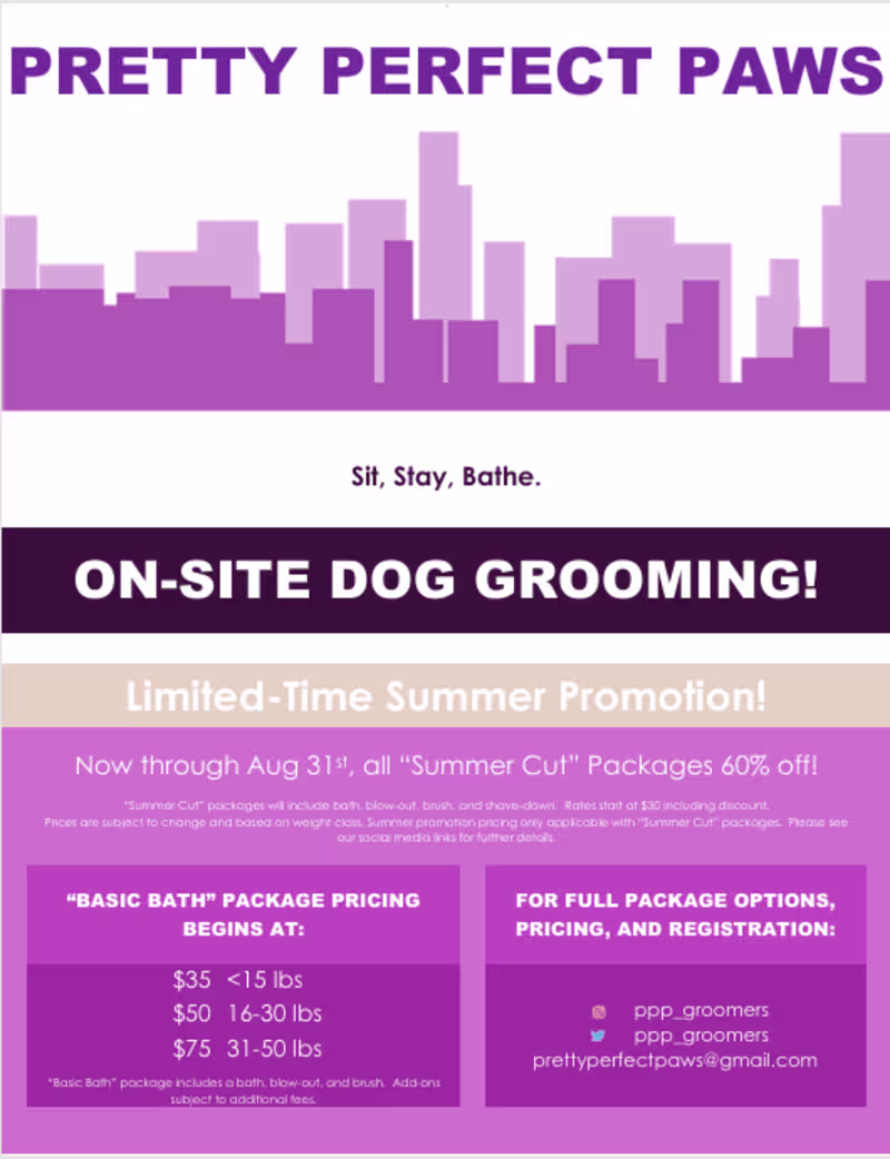 Cover image for Summer Grooming Promo Flyer
