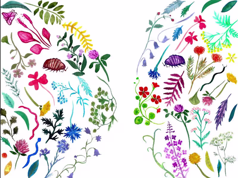 Cover image for Food is Now