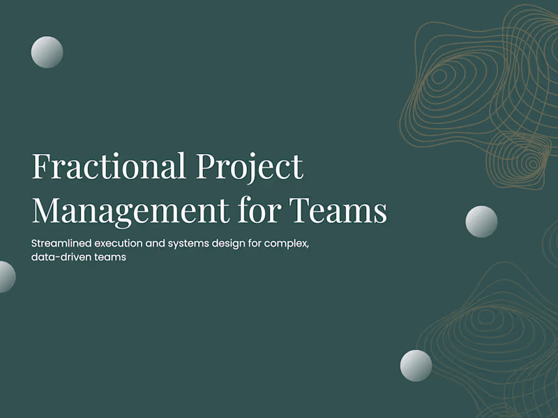 Cover image for Fractional Project Management