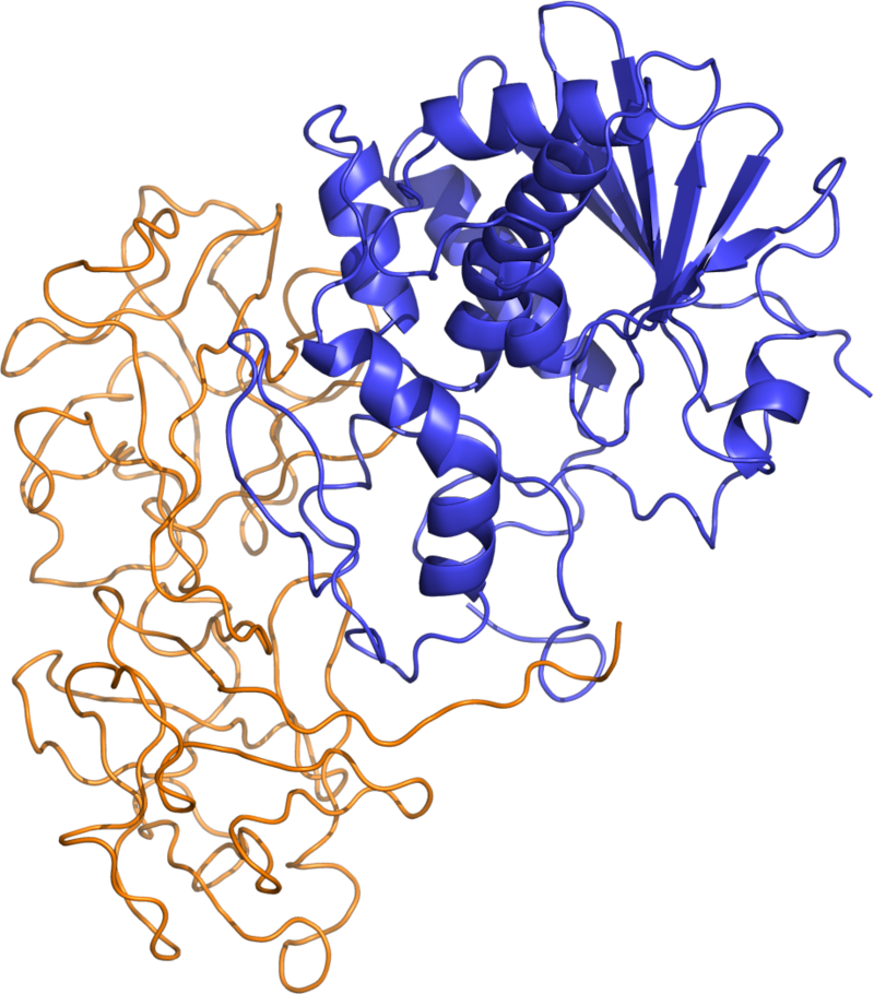 Cover image for Universal Ricin Detection Model