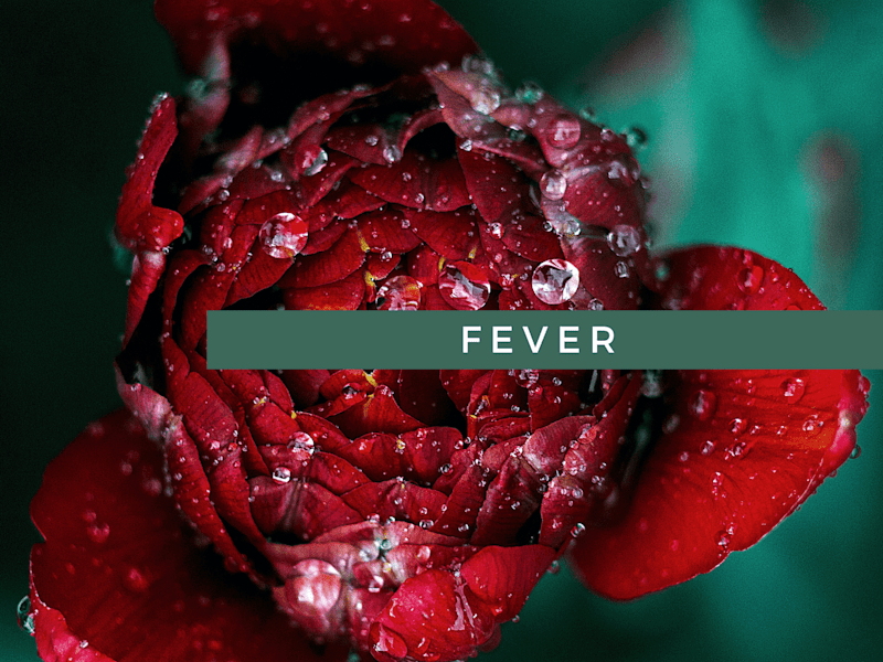 Cover image for Fever