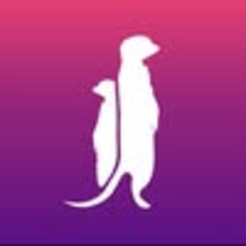 Cover image for Plann (@plann.fun) • Instagram photos and videos