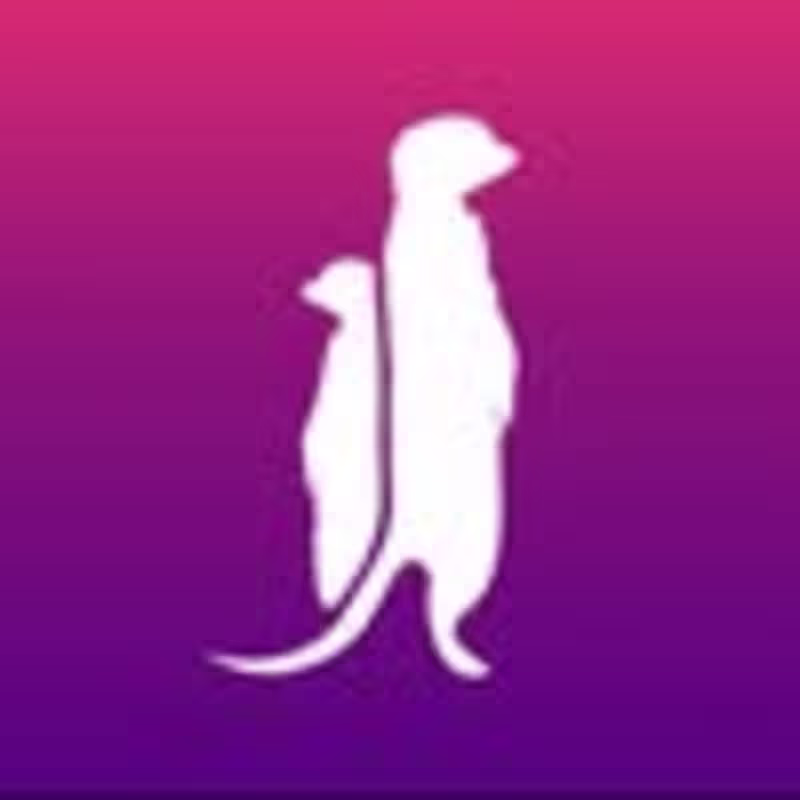 Cover image for Plann (@plann.fun) • Instagram photos and videos