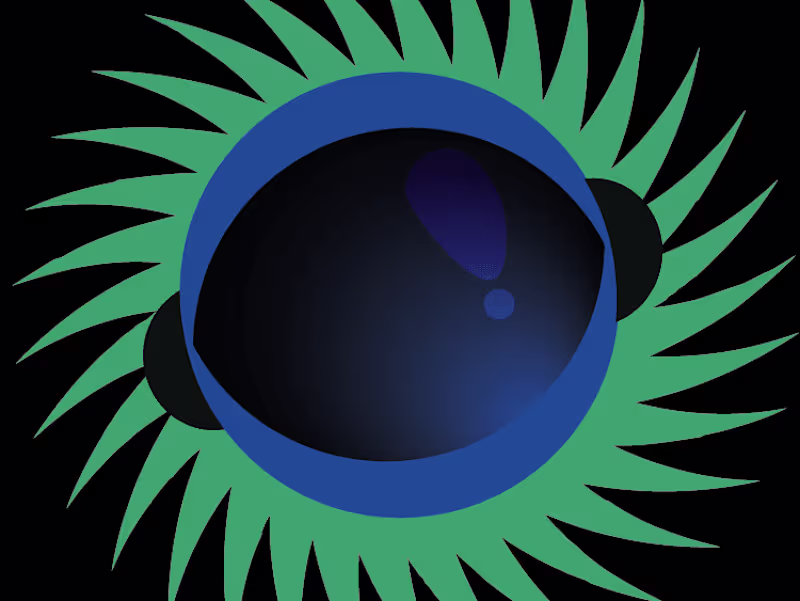 Cover image for Space Cleaners