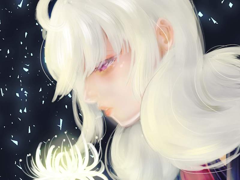 Cover image for Behance