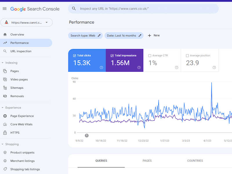 Cover image for SEO Specialist Successfully Enhances Google Ranking for Canni