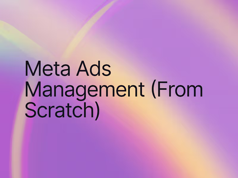 Cover image for Meta Ads Management (From Scratch)