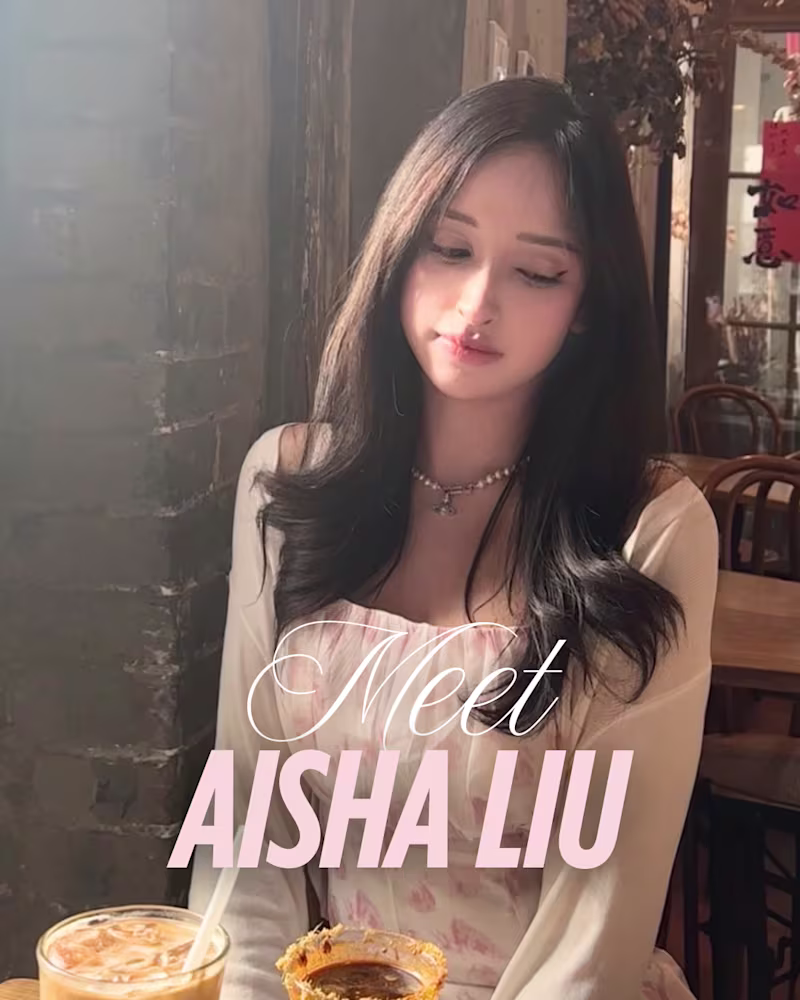 Cover image for Meet Aisha Liu