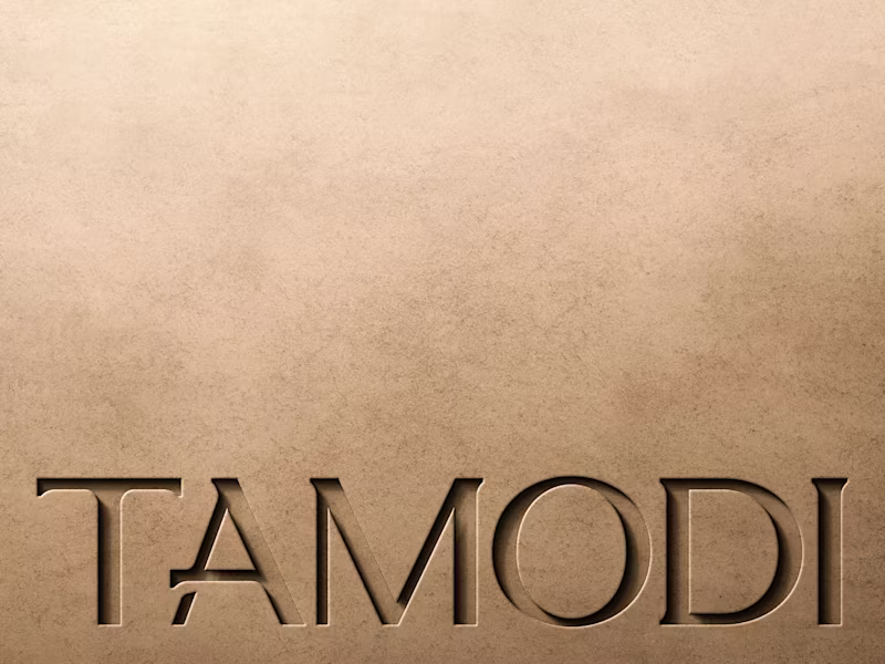 Cover image for Snapshot of the visual identity we crafted for Tamodi.