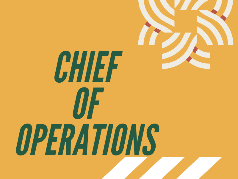 Cover image for COO/ CPO