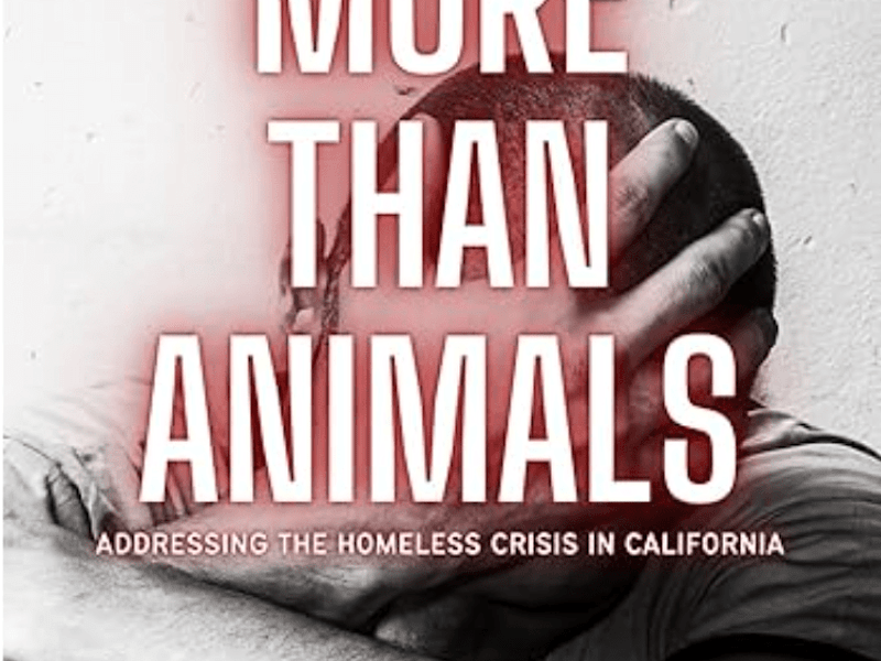Cover image for More than Animals : Addressing the Homeless Crisis …