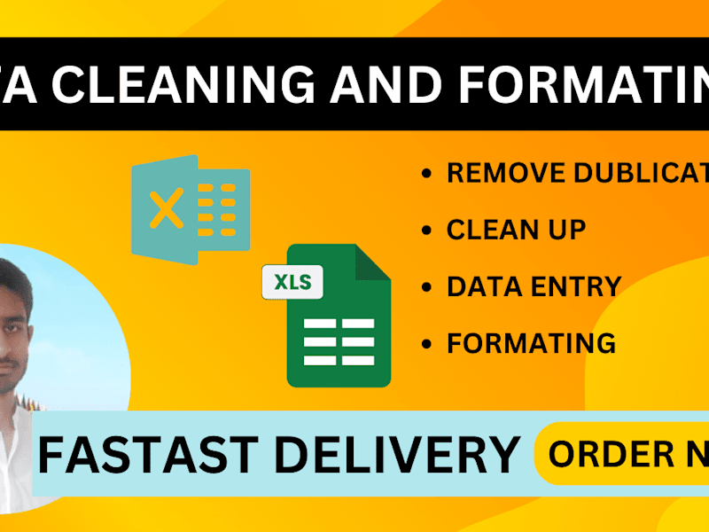 Cover image for I will clean, format, and organize your messy data in excel 