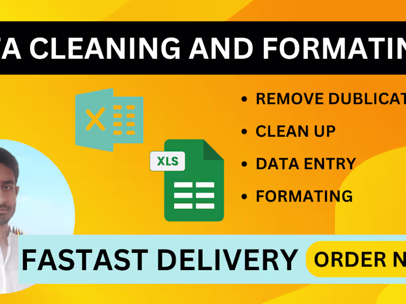 Cover image for I will clean, format, and organize your messy data in excel 