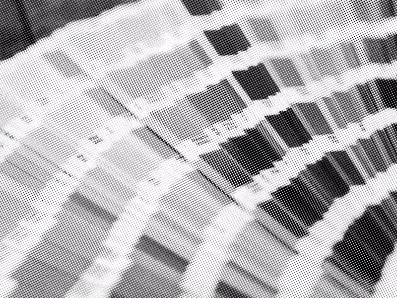 Cover image for Graphic Design Services