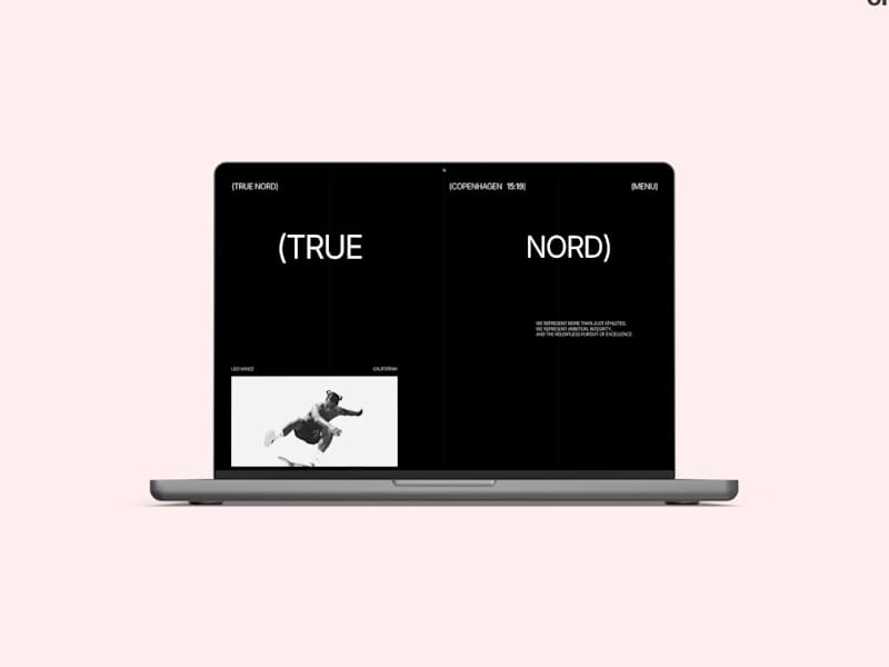 Cover image for True Nord - Sport Agency Template