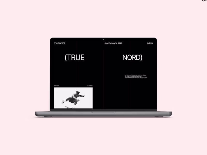 Cover image for True Nord - Sport Agency Template