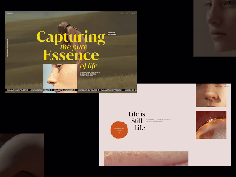 Cover image for Interactive Websites that Drive Results