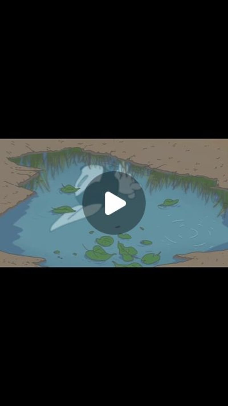Cover image for Mo Beshir 🇵🇸 on Instagram: “A mashup of scenes from my Animat…