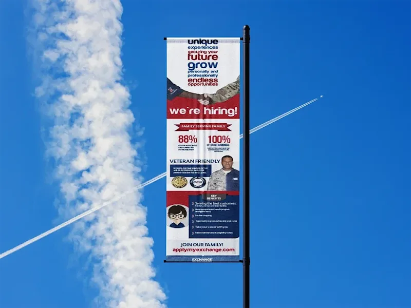 Cover image for Army and Air Force Exchange